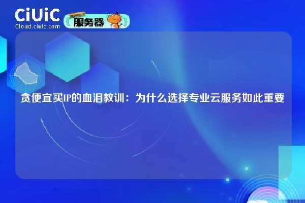 贪便宜买IP的血泪教训：为什么选择专业云服务如此重要