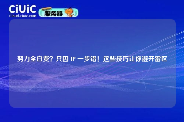 努力全白费？只因 IP 一步错！这些技巧让你避开雷区
