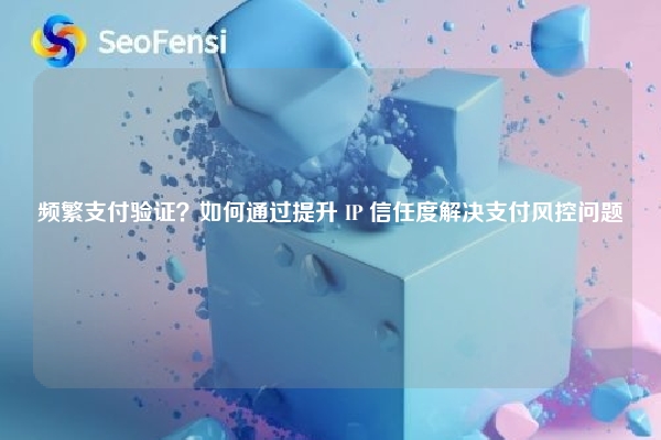 频繁支付验证？如何通过提升 IP 信任度解决支付风控问题