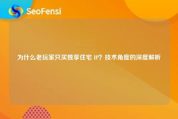 为什么老玩家只买独享住宅 IP？技术角度的深度解析
