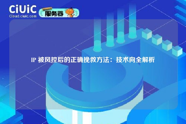 IP 被风控后的正确挽救方法：技术向全解析