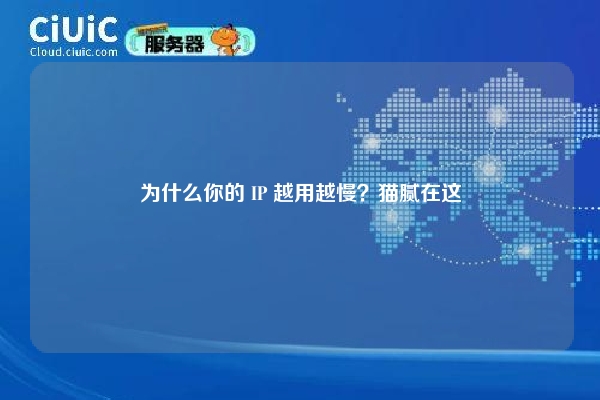 为什么你的 IP 越用越慢？猫腻在这