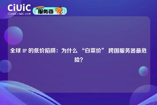 全球 IP 的低价陷阱：为什么 “白菜价” 跨国服务器最危险？