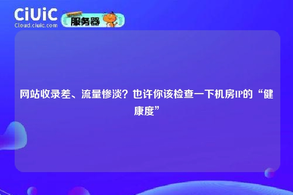网站收录差、流量惨淡？也许你该检查一下机房IP的“健康度”