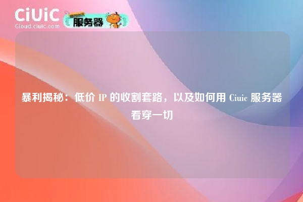 暴利揭秘：低价 IP 的收割套路，以及如何用 Ciuic 服务器看穿一切
